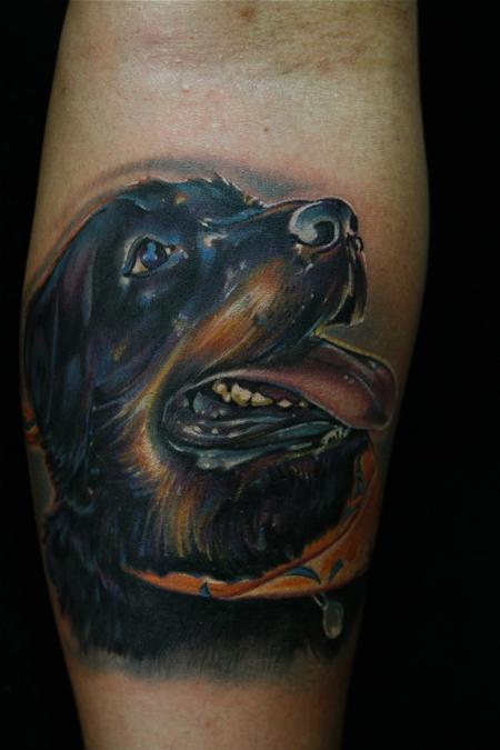 Mike Demasi - Dog Color Portrait Roxy